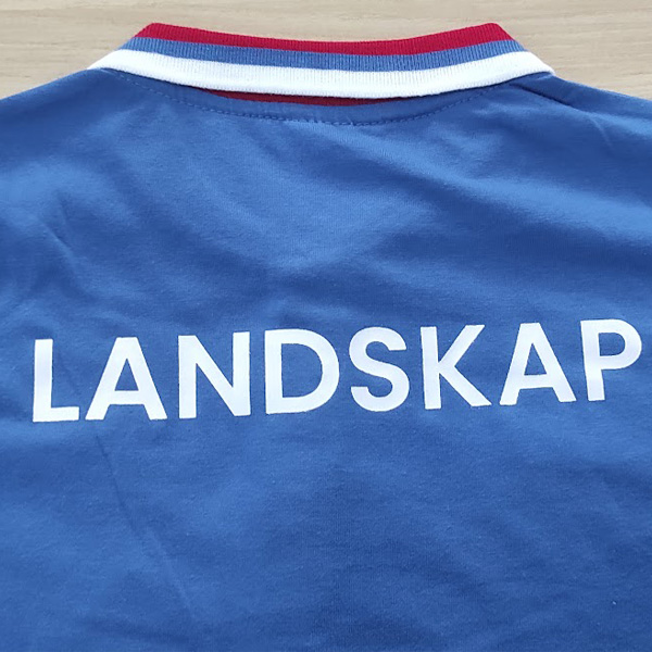 Silk screen T-shirt Printing